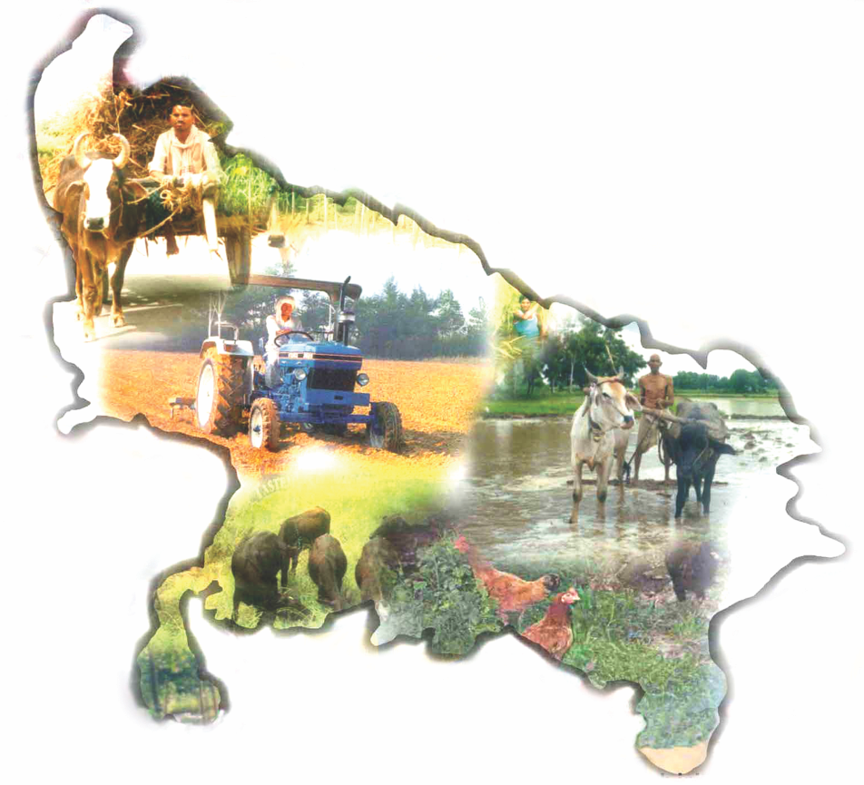 State Of Uttar Pradesh